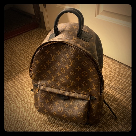 Louis Vuitton Palm Springs PM monogram - Picture 1 of 8